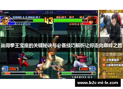 赢得拳王宝座的关键秘诀与必备技巧解析让你走向巅峰之路